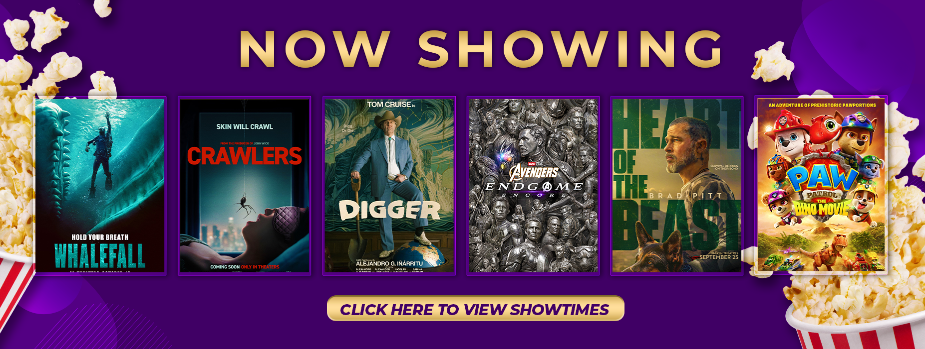NOW SHOWING WEBSITE – FEB 6-8